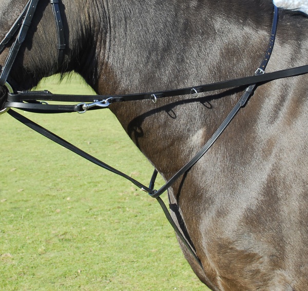 Windsor Equestrian Leather Market Harborough With Reins